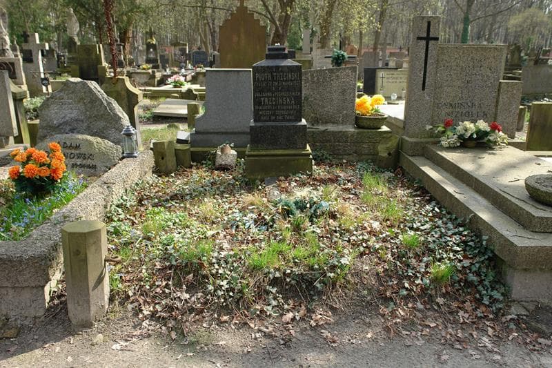 Zdjęcie grobu: Piotr Trzciński