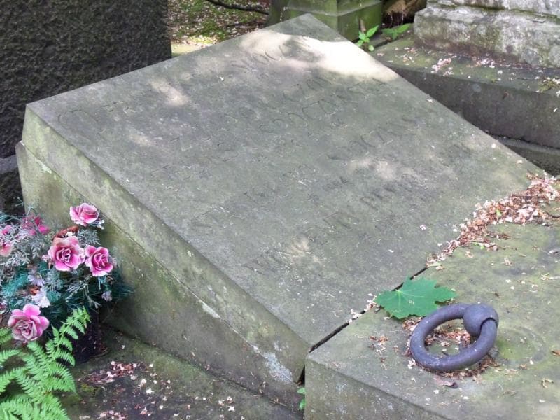 Zdjęcie grobu Wincenty Pestrakiewicz (2)