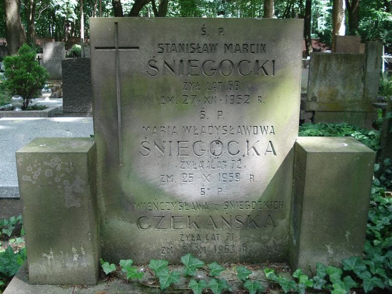 Zdjęcie grobu Wieńczysława Czekańska (1)
