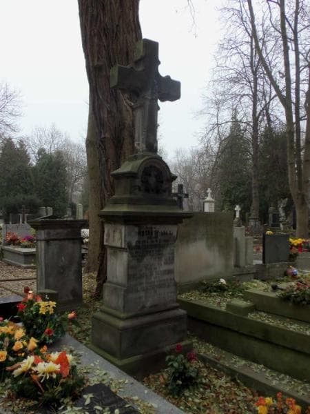 Zdjęcie grobu Zofia Przybylska (2)