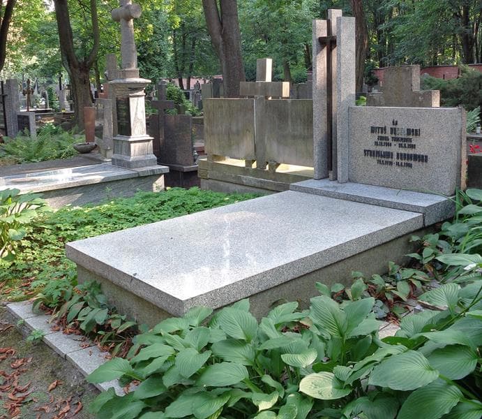 Zdjęcie grobu: Stanisława Dąbrowska
