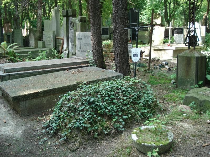 Zdjęcie grobu Franciszka Humel (1)