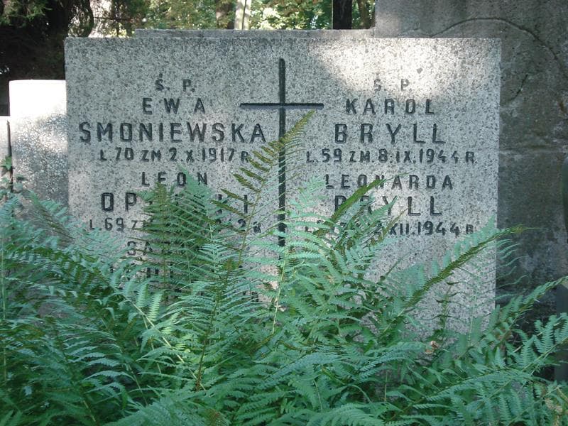 Zdjęcie grobu Leonarda Bryll (1)
