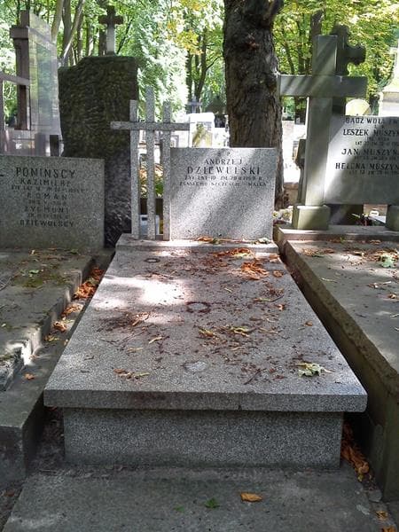 Zdjęcie grobu Andrzej Dziewulski (1)