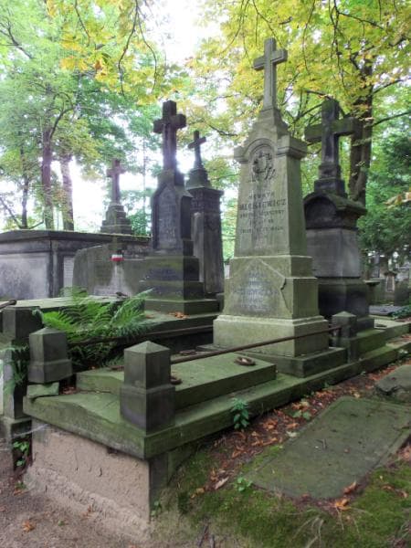 Zdjęcie grobu Henryk Mickiewicz (1)