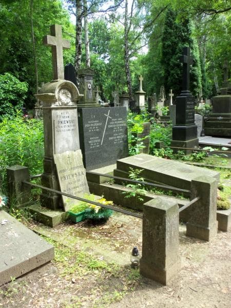 Zdjęcie grobu Adam Pniewski (1)