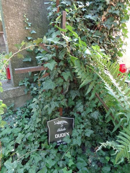 Zdjęcie grobu Elżbieta Dudek (2)