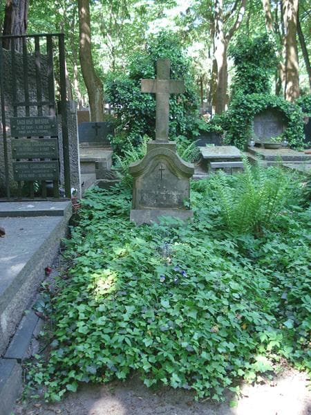 Zdjęcie grobu: Władysław Kuczyński