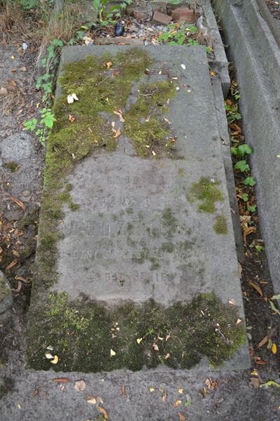 Zdjęcie grobu Franciszek Rudzki (2)