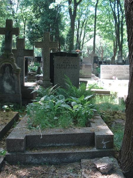 Zdjęcie grobu: Maria Jabłońska