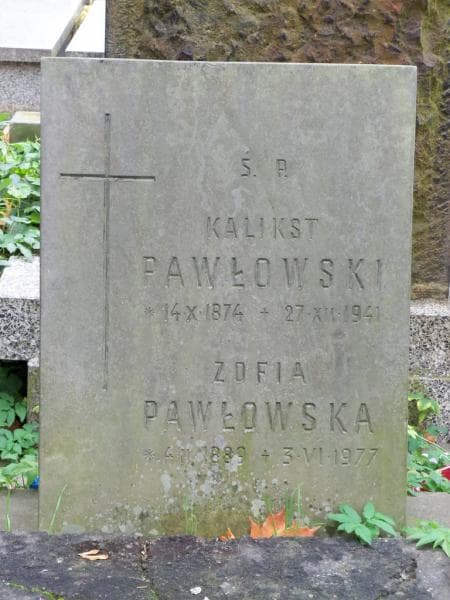 Zdjęcie grobu Zofia Pawłowska (2)