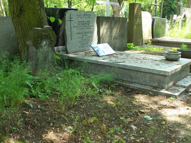 Zdjęcie grobu Amelia Delius (1)