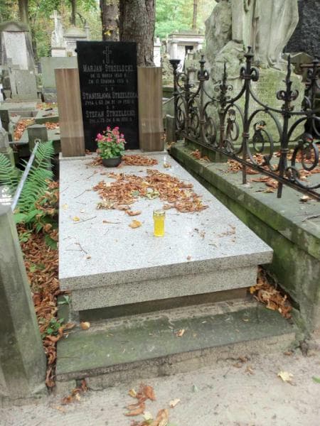 Zdjęcie grobu: Stanisława Strzelecka
