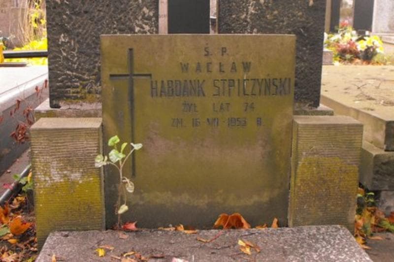 Zdjęcie grobu Wacław Habdank Stpiczyński (2)