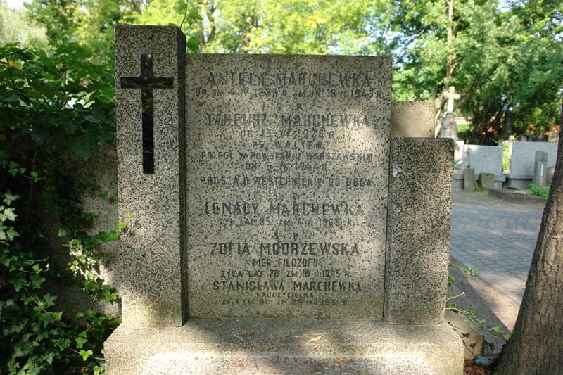 Zdjęcie grobu Ignacy Marchewka (2)