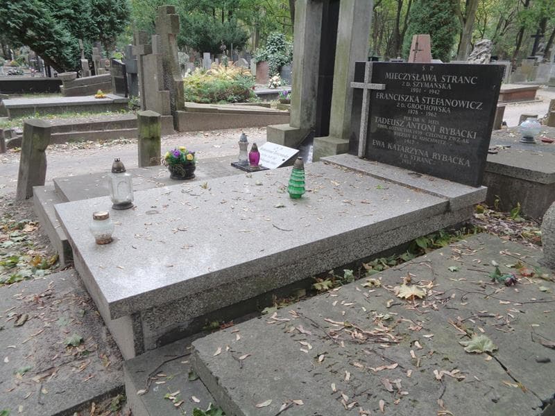 Zdjęcie grobu: Mieczysława Stranc