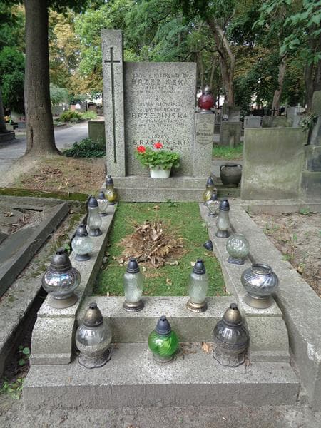 Zdjęcie grobu Zygmunt Dewiński (1)