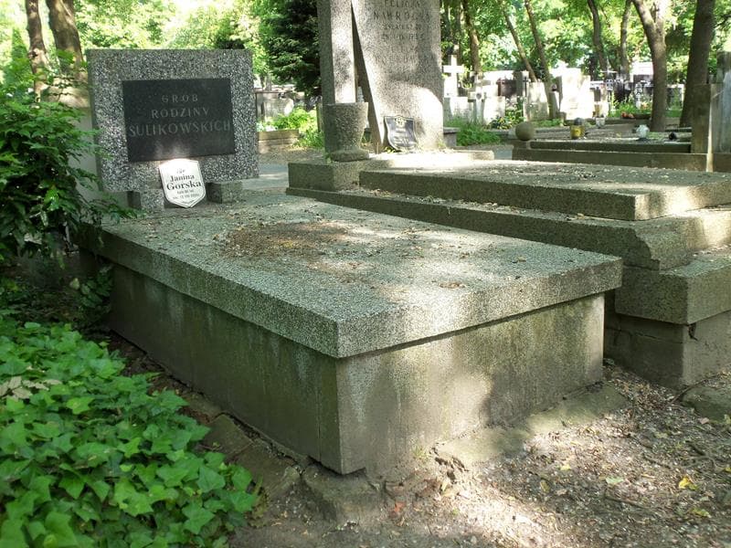 Zdjęcie grobu Kazimiera Dobrowolska (1)
