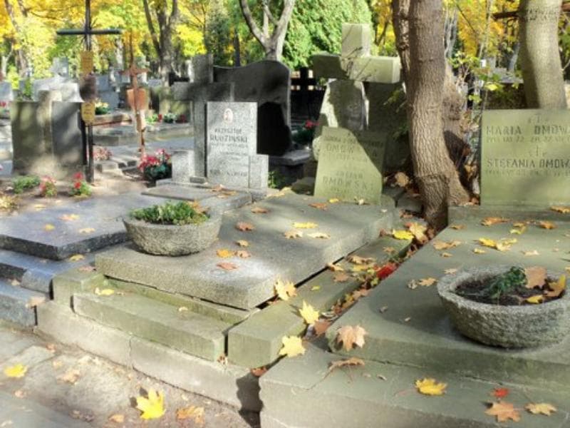 Zdjęcie grobu Janina Dmowska (1)