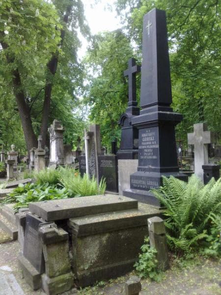 Zdjęcie grobu Florentyna Górska (1)