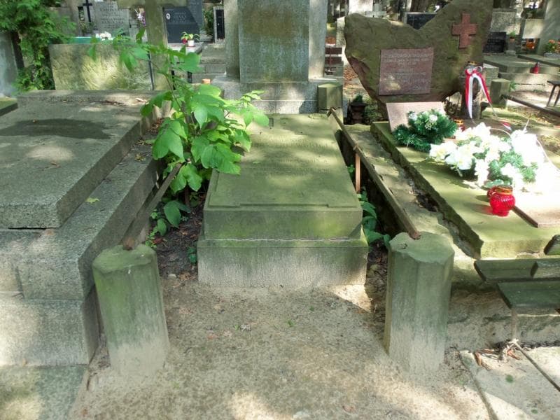 Zdjęcie grobu Eleonora Milewska (1)
