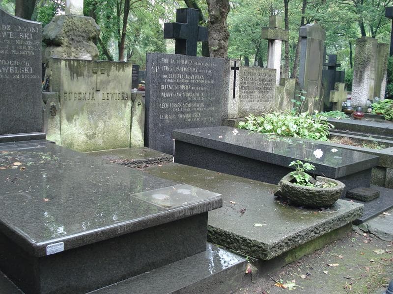 Zdjęcie grobu Eugenia Lewicka (1)