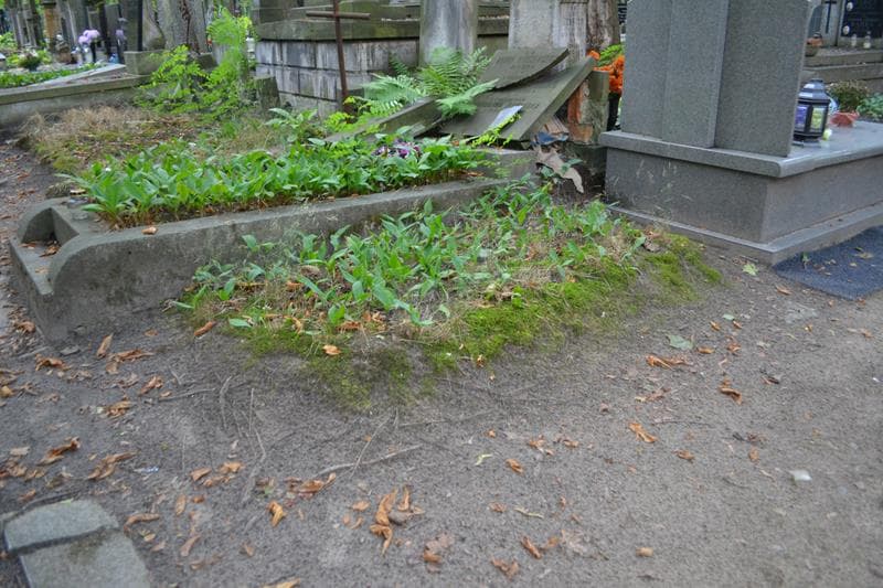 Zdjęcie grobu: Pole Grobowe