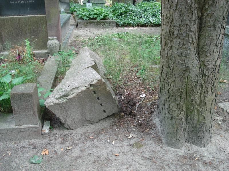 Zdjęcie grobu: Pole Grobowe