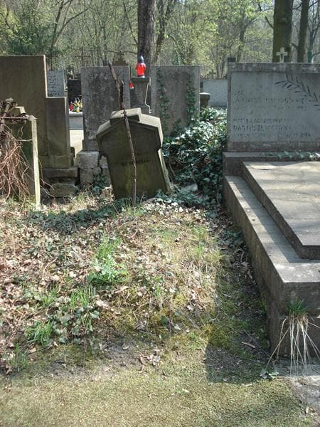 Zdjęcie grobu: Aurelja Szczuka
