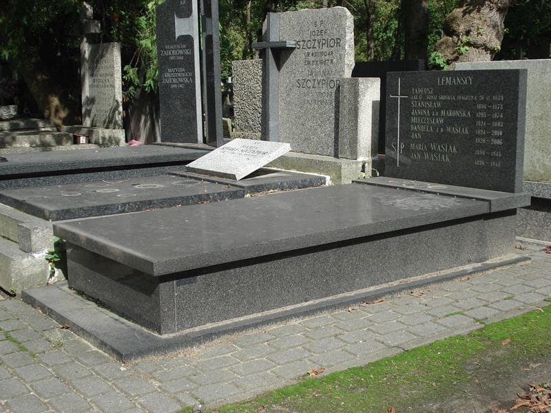 Zdjęcie grobu Jan Lemański (1)