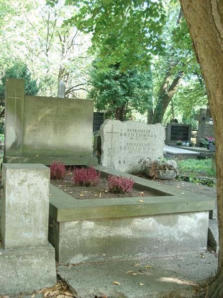 Zdjęcie grobu: Witold Domański