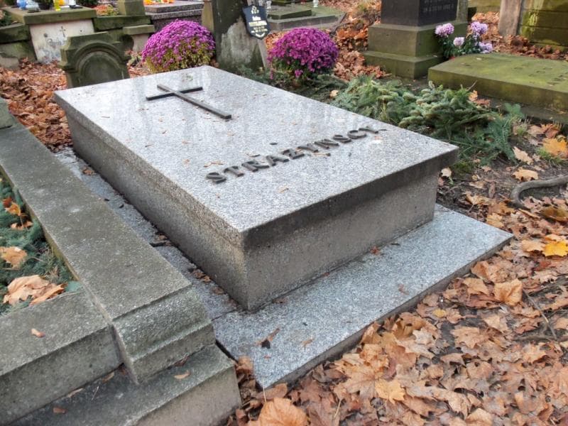 Zdjęcie grobu Strażyńscy (2)