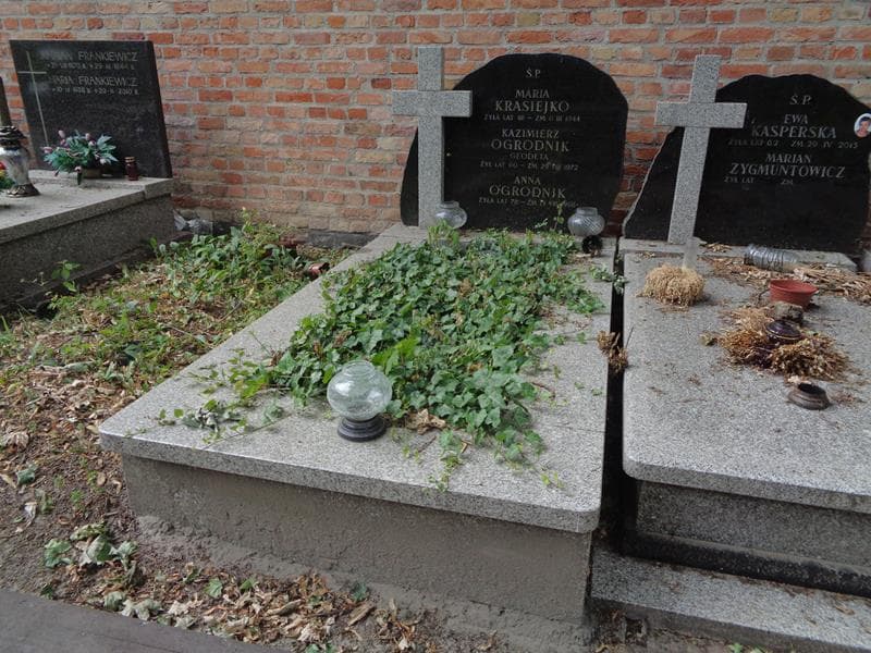 Zdjęcie grobu Anna Ogrodnik (1)