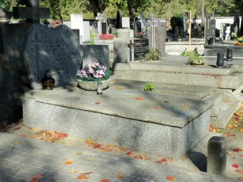 Zdjęcie grobu Władysław Baruch (1)
