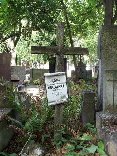 Zdjęcie grobu Elżbieta Orłowska (2)