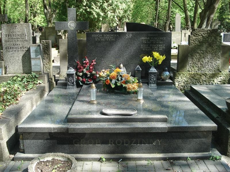 Zdjęcie grobu: Felicja Borowska