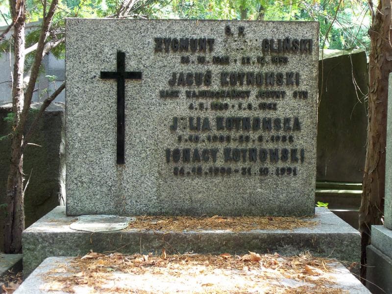 Zdjęcie grobu Zygmunt Zabiegliński (2)
