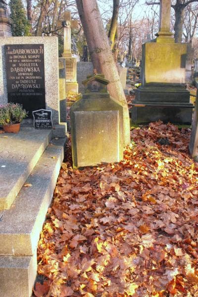 Zdjęcie grobu: Józef Borkowski