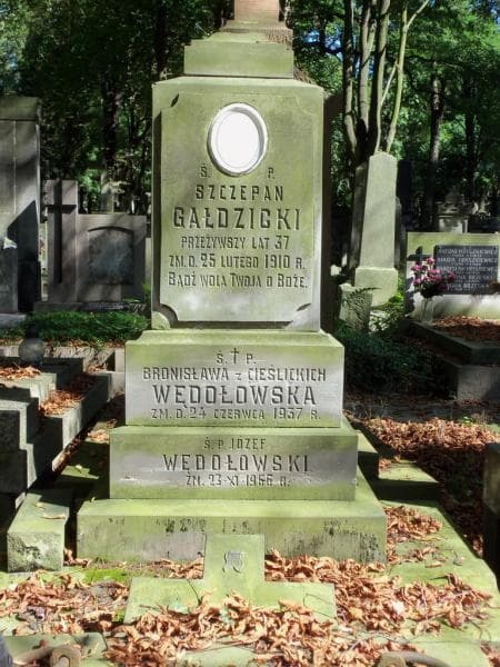 Zdjęcie grobu Józef Wędołowski (2)
