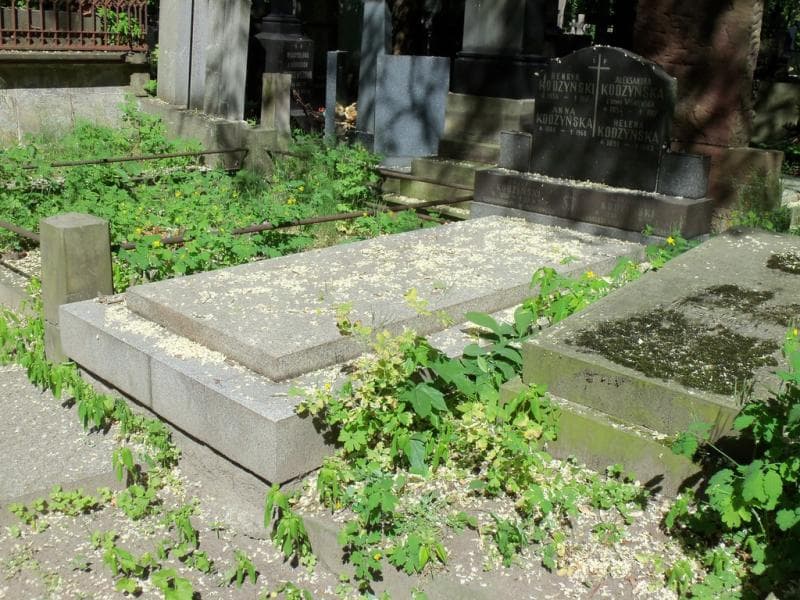 Zdjęcie grobu Józef Kodzyński (1)