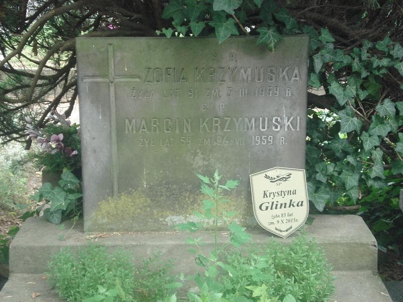 Zdjęcie grobu Zofia Krzymuska (2)