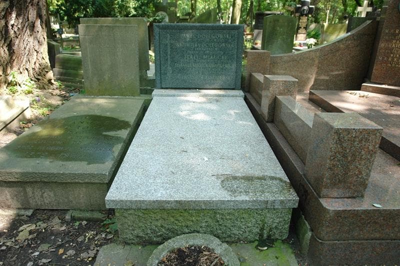 Zdjęcie grobu Aleksander Jastrzębski (1)