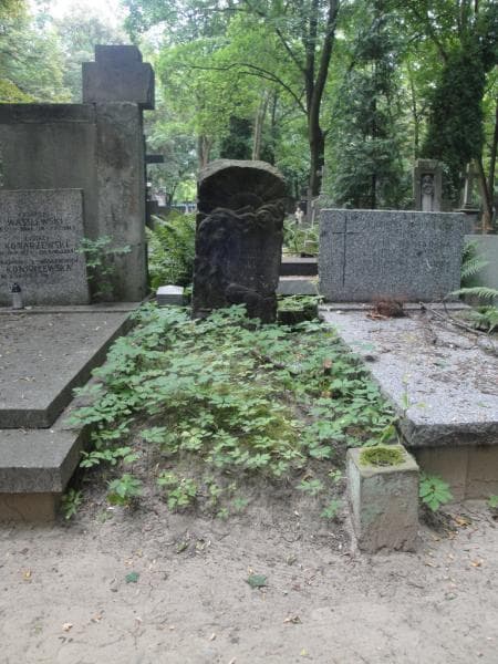 Zdjęcie grobu: Stefanja Djarym