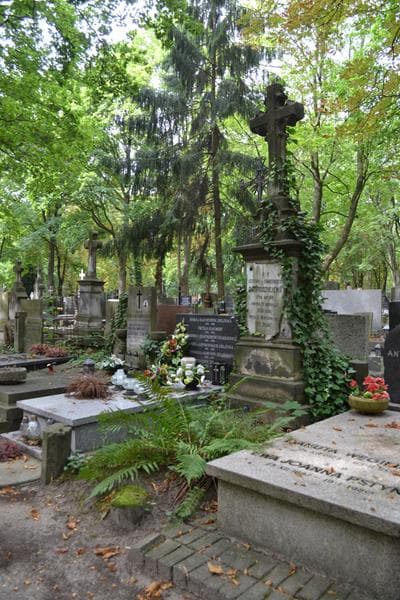 Zdjęcie grobu: Józefina Dobrodziejewa