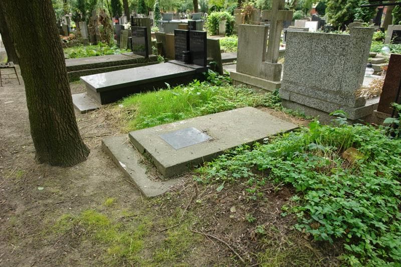 Zdjęcie grobu: Anna Cybulska