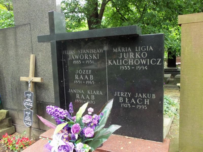 Zdjęcie grobu Feliks Stanisław Jaworski (2)