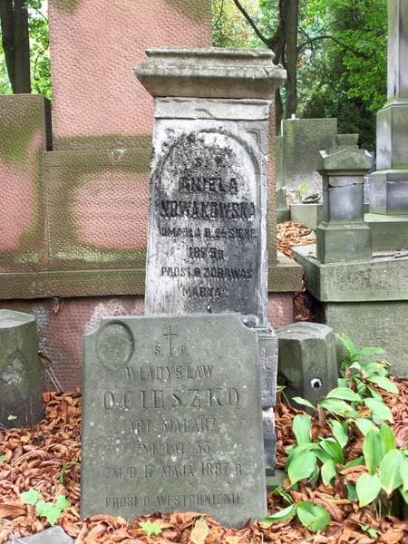 Zdjęcie grobu Aniela Nowakowska (2)