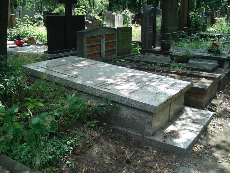 Zdjęcie grobu: Kazimiera Ilcewicz