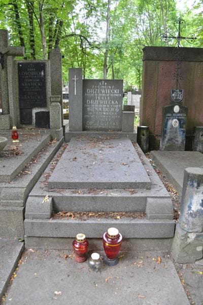 Zdjęcie grobu Zygmunt Drzewiecki (1)