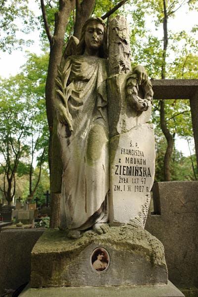 Zdjęcie grobu Józef Zgódka (2)